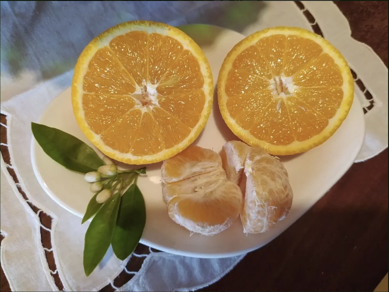 arance-siciliane-azzaro